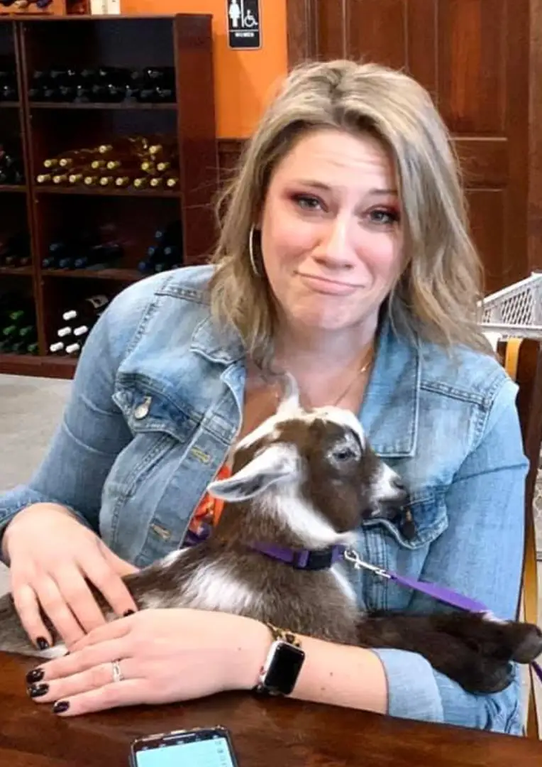 Adorable goats to cuddle with